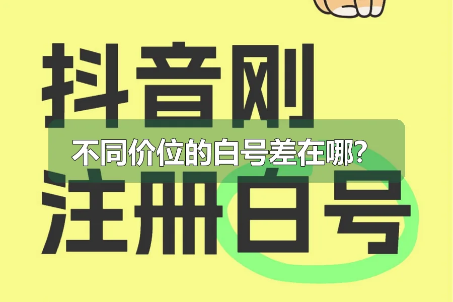 不同价位的白号差在哪?